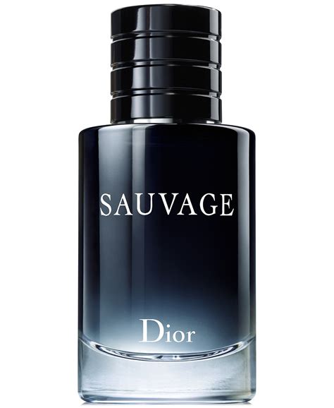 christian dior sauvage eau de toilette spray for men|sauvage eau de toilette 200ml.